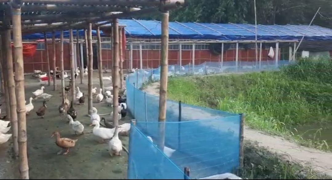 Gaea Agro farm photo 6